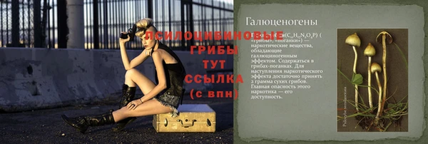 бутират Богородицк