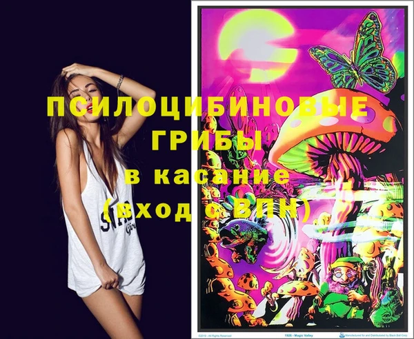 трава Богданович