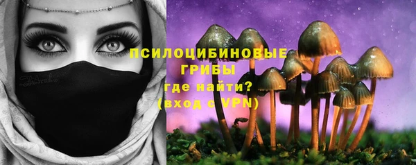 бутират Богородицк