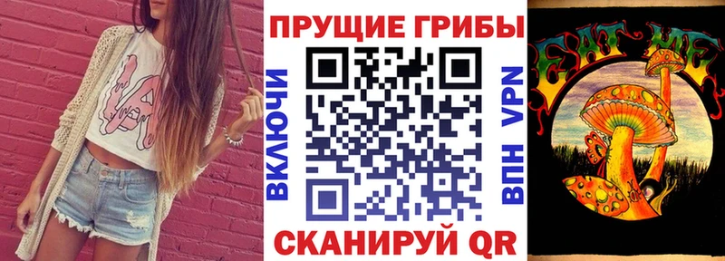 KRAKEN ссылки  Ясногорск  Галлюциногенные грибы Psilocybe 