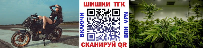 Шишки марихуана семена  наркота  Ясногорск 